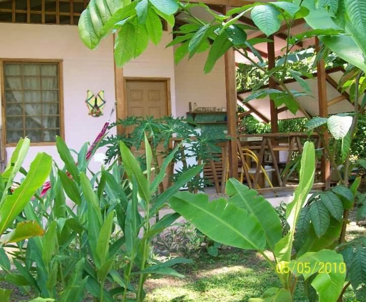 Luna Caribena Village Puerto Viejo de Talamanca Экстерьер фото