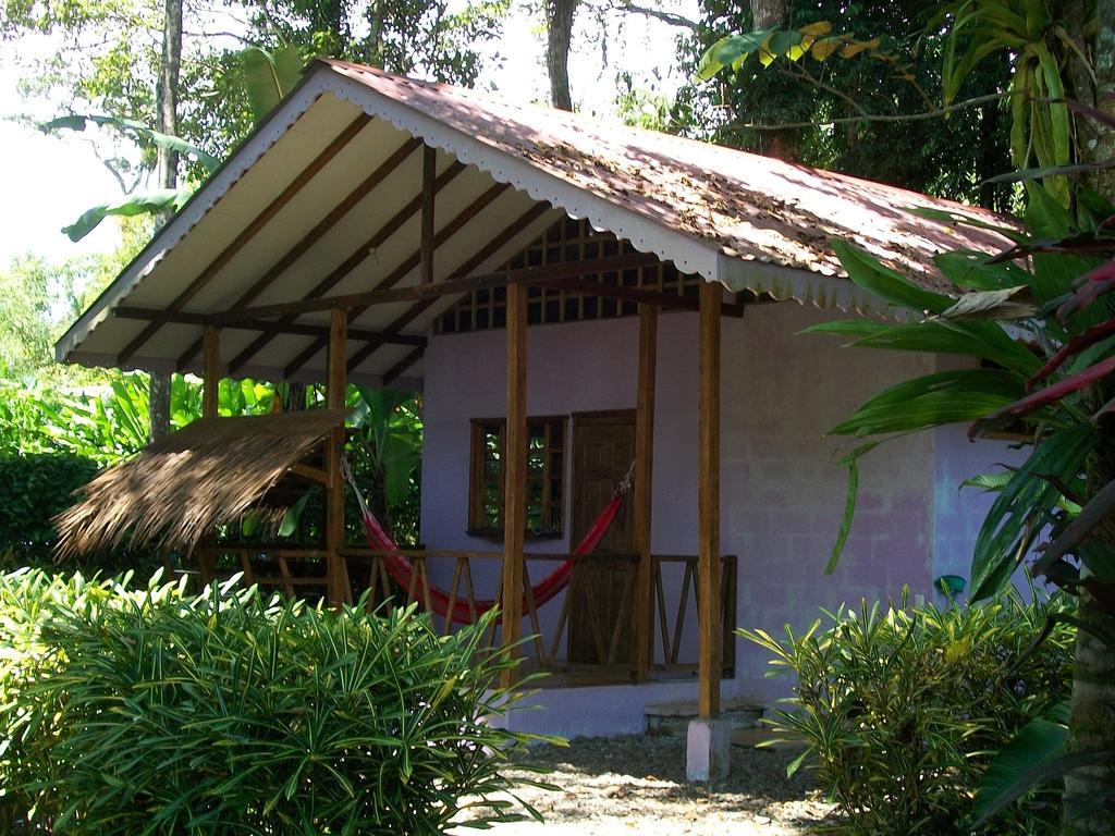 Luna Caribena Village Puerto Viejo de Talamanca Экстерьер фото