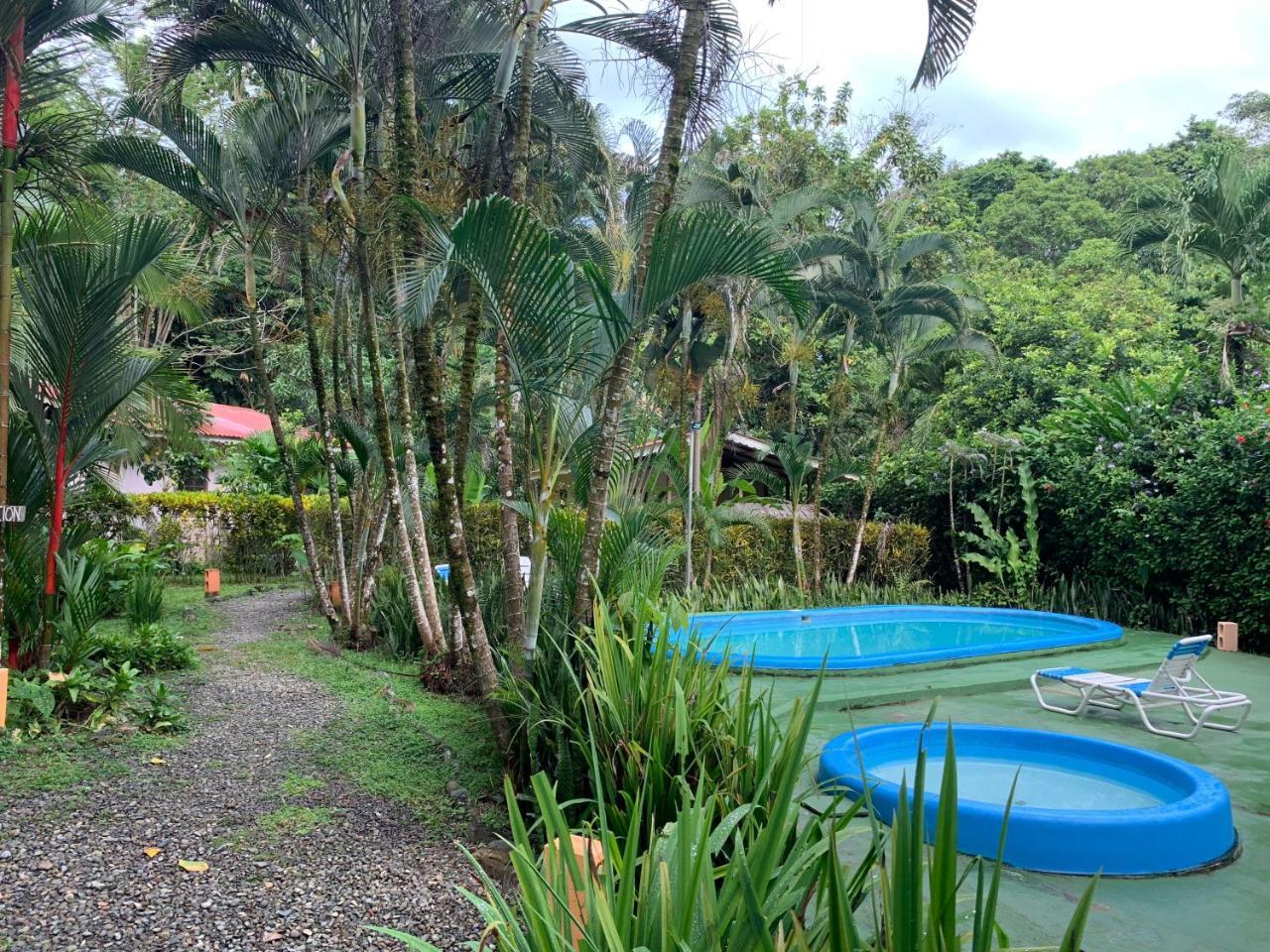 Luna Caribena Village Puerto Viejo de Talamanca Экстерьер фото