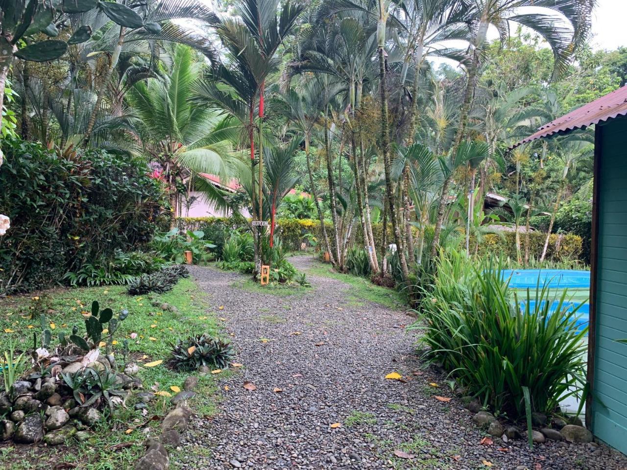 Luna Caribena Village Puerto Viejo de Talamanca Экстерьер фото