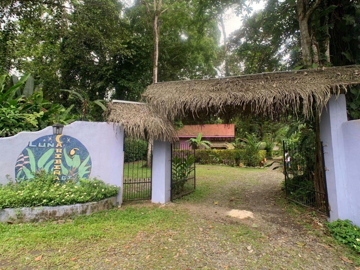 Luna Caribena Village Puerto Viejo de Talamanca Экстерьер фото